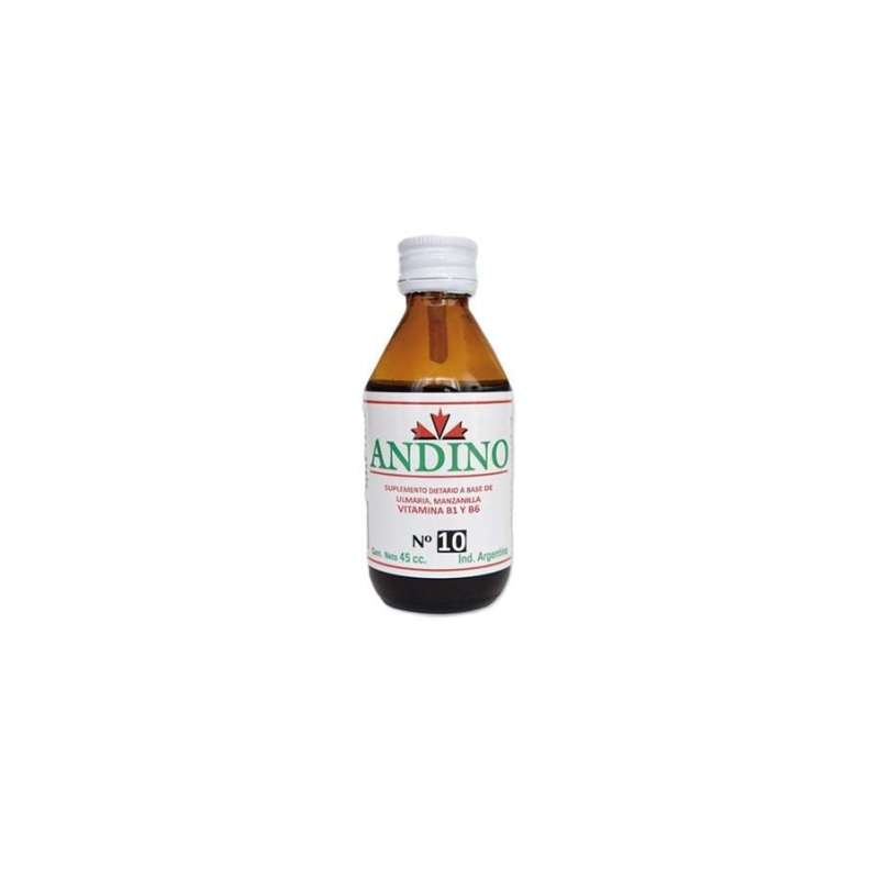 ANDINO n°10 reumatismo